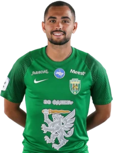 moha.max-1000x1000.format-webp