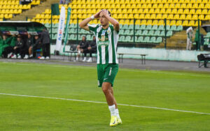 Костенко2